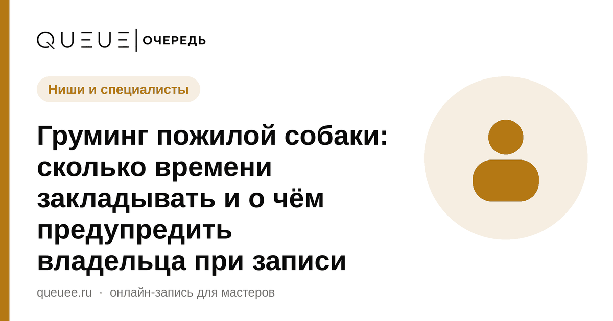 Обложка статьи «Груминг пожилой собаки: сколько времени закладывать и о чём предупредить владельца при записи» — блог Queue для мастеров