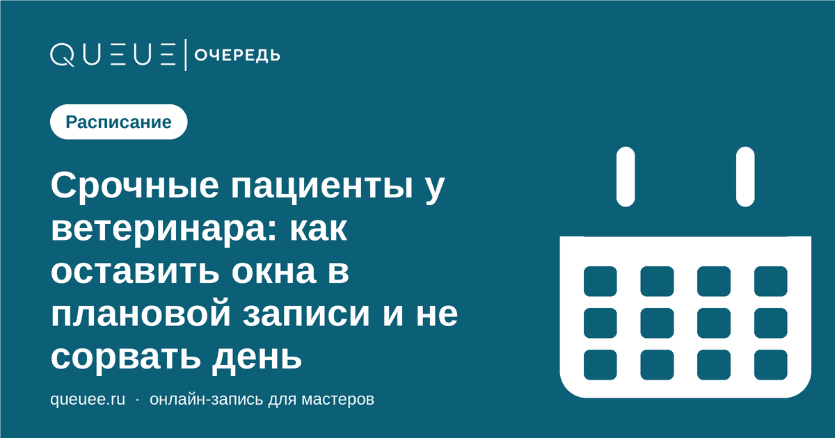 Срочные пациенты у ветеринара: как оставить окна в плановой записи и не сорвать день Обложка статьи «Срочные пациенты у ветеринара: как оставить окна в плановой записи и не сорвать день» — блог Queue для мастеров